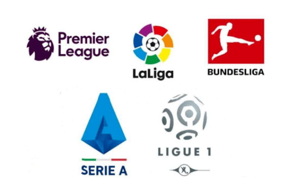 他以迅雷不 他以迅雷不